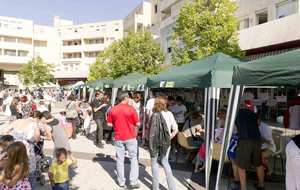 Forum des associations